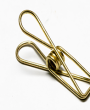 $row_detail['ten_'.$lang]